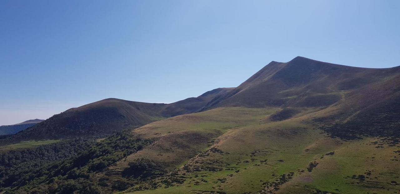 L'Hermitage Saint-Nectaire Dış mekan fotoğraf